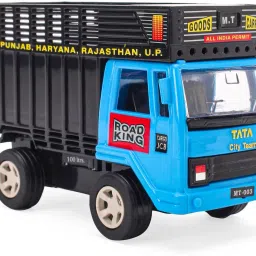 Goods Carrier Truck-picture-21
