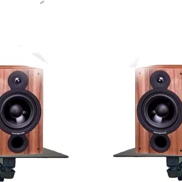 audiovan Speaker & Woofer Wall Mount Speaker Mount-27