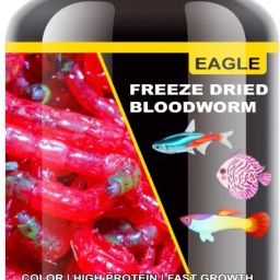 Freeze Dried Blood Worm 100ML | Color & High Protein 0.1 kg Dry Adult, New Born, Senior, Young Fish Food-27