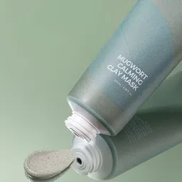 ISNTREE Mugwort Calming Clay Mask - 100ml image 1