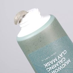ISNTREE Mugwort Calming Clay Mask - 100ml image 2