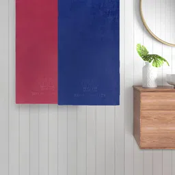 FABINALIV Red & Blue 2 Pieces 420 GSM Cotton Bath Towels-image-62