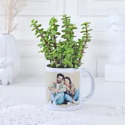 Sentimental Jade With Mug Arrangement-image-47