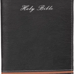 Women Black Artificial Leather Document Holder - Regular Size-image-52