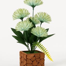Croton Artificial Plant in Coconut Pot | Faux Plant for Home & Office Décor Artificial Plant with Pot-image-8