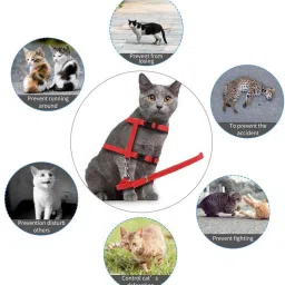 futurekart Cat Collar & Chain image 4
