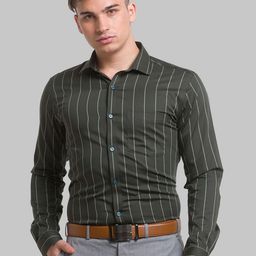 Park Avenue Men Green Striped Formal Shirt-image-95