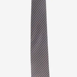 Alvaro Castagnino Men Brown Striped-image-69