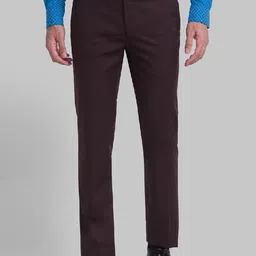 Raymond Men Brown Solid Formal Trouser-image-68