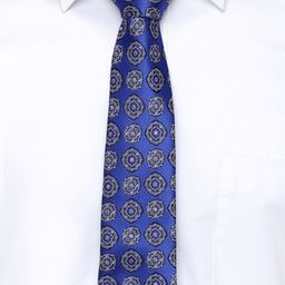 Alvaro Castagnino Men Blue & White Printed Broad Tie-image-73