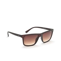 IRUS by IDEE Men Brown Lens & Brown Square Sunglasses IRSO104C3SG-image-49