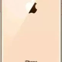 SRaccessories apple iphone XS Back Panel-image-26