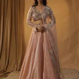 ARPITA SULAKSHANA Embellished V-Neck Made to Measure Lehenga & Blouse With Dupatta image 1