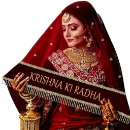 Net Embroidered Maroon Women Dupatta-image-89