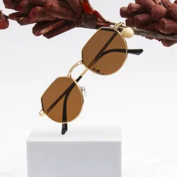 Ted Smith Unisex Round Sunglasses with UV Protected Lens-43