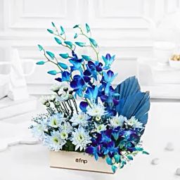 Dreamy Desire Orchids N Daisies Arrangement-16