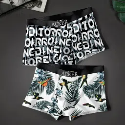 Printed Men Brief-26