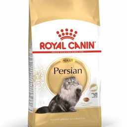 Adult Dry Cat Food - 400 gm 0.4 kg Dry Adult Cat Food-image-1