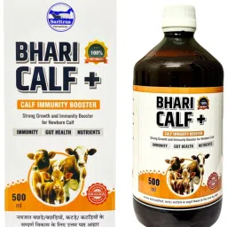 Bhari Calf Calf Booster & Calf Growth Right Calf 0.5 kg Wet Young Cow Food-image-43