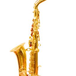 SEXPHNGLD004 SEXPHNGLD004 Alto Saxophone-image-73