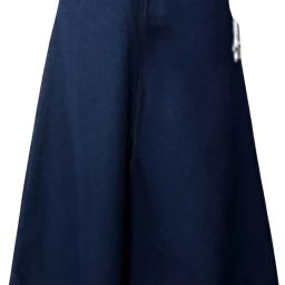 Women Solid A-line Blue Skirt-image-78