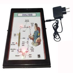 Model of Dialysis Low Cost Teaching Aid (LOCTAS) Biology Model for School.-25