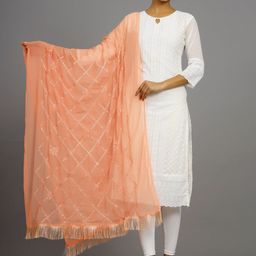 HANDICRAFT PALACE Embroidered Chiffon Dupatta-20