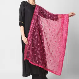 Dupatta Bazaar Pink Ethnic Motifs Embroidered Dupatta with Sequinned Details-33