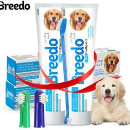 Cool Mint Toothpaste and 2Pcs Dog Toothbrush Combo for Dogs - 100g | Pet Toothpaste-52