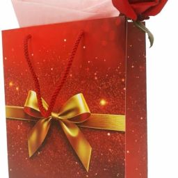 Printed Party Bag-picture-19