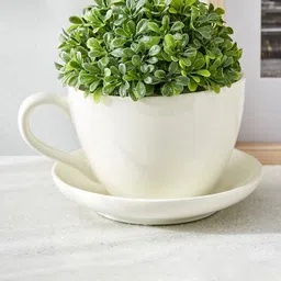 Home Centre Gloria Chalice White Ceramic Cup & Saucer Planter-image-18