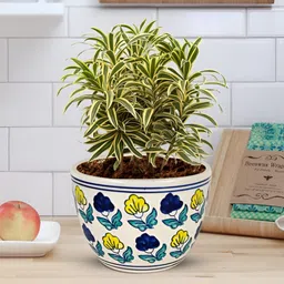LASAKI Blue & Yellow Textured Ceramic Planter With Holder-57