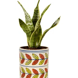 LASAKI Yellow & Maroon Textured Ceramic Planter With Holder-image-13