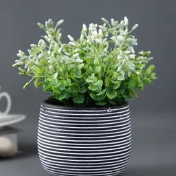 TAYHAA Black Spiral Design Ceramic Planter-image-34