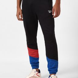 Reebok Men Colourblocked Wce Dc Pure Cotton Joggers-image-20