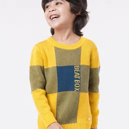 Ed-a-Mamma Boys Yellow & Blue Colourblocked Pullover-image-99