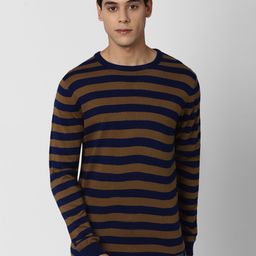 Peter England Casuals Men Blue & Brown Cotton Striped Pullover-image-101