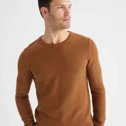 DeFacto Men Brown Solid Pullover-image-5