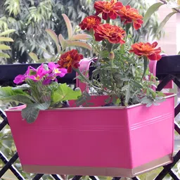 ecofynd Pink & White 6Pcs Metal Balcony Railing Planters-20