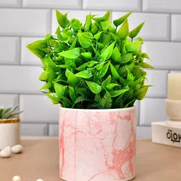 TAYHAA White Peach Abstract Printed Ceramic Planter-picture-3