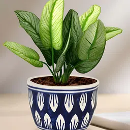 LASAKI Sharon Blue Textured Ceramic Planter-image-100
