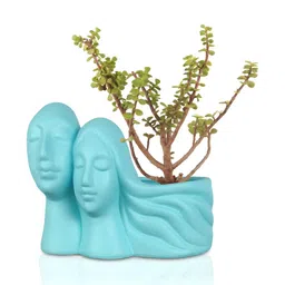 LASAKI Blue Textured Ceramic Couple Planter-image-83