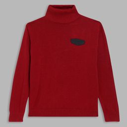Blue Giraffe Boys Maroon Pullover-image-103