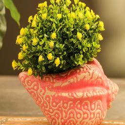 The Decor Mart Pink & Cream Textured Ceramic Shell Shaped Planter-16
