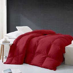 RAZZAI Maroon Microfiber Mild Winter 500 GSM Single Bed Reversible Comforter-8