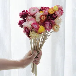 ArteCasa Dried Flower Straw Flower-33