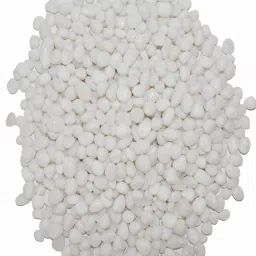 Small Polished Stone Pebbles For Plant Pots Vase Home Garden Decor (White, 500g) Polished, Regular Round, Oval Marble Pebbles-2