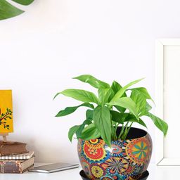 ecofynd Orange & Blue Printed Metal Planter With Saucer Plate-image-70