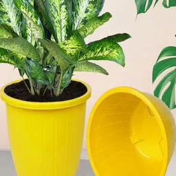 Kuber Industries Set Of 4 Yellow & White Planter Pot-45