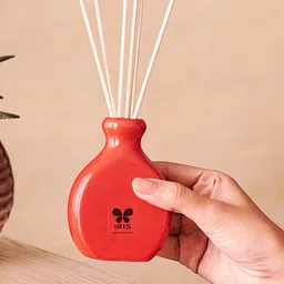 Iris Red Apple Cinnamon Reed Diffuser Set-13